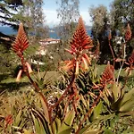 Διαμέρισμα Sansone