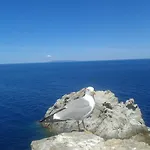 Sansone Διαμέρισμα *
