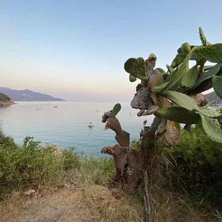 Sansone Διαμέρισμα